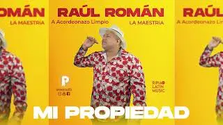 Raul Roman 