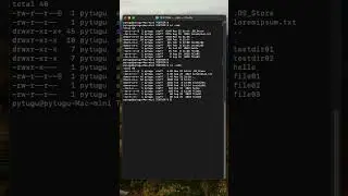 macOS Terminal - list all files ordered by size #macOS #terminal #tutorial #list #ordered #size