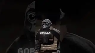 What if the gorillavrgt reveal was fake
