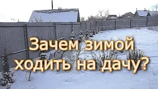 Прогулка на дачу. Зимний лес. Что зимой делать на даче?
