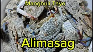 Panghuhuli ng Malalaking Alimasag Rabigh Saudi , Catch and Cook, Sarap na Alimasag,