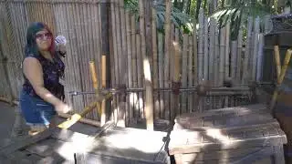 Playing Around at Tarzan's Treehouse