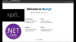 Fullstack | How to bind dotnet core project with nextjs project