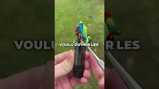 Est Ce Que Roméo Est Vraiment idiot...?😛LA FIN 😱