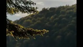2 HOURS of Gentle Night RAIN, Rain Sounds for Relaxing Sleep, insomnia, Meditation, Study