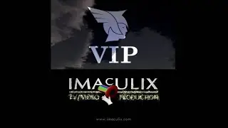 VIP / Imaculix logo