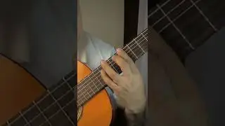 Финская флажолетная