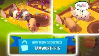 Farmville 3 Animals Gameplay - Pigs!