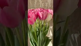 Запрошення на шлях до краси та здоров’я