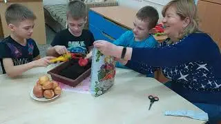 МДБОУ МО г. Краснодар "Детский сад №163" Видео "Огород на подоконнике", номинация №4