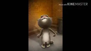 Talking tom in g Major 9
