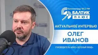 Актуальное интервью: Олег Иванов, руководитель МЭОО "Зеленый фонд"