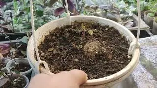 7 января, покажу что и как... 😉. Обзор.