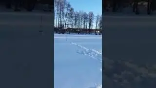 Запуск ракеты Март 2018. Estes Ricochet