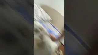 будни автозвукеров