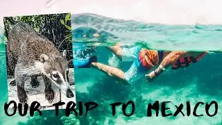 CATALONIA ROYAL TULUM - MEXICO 2020 4K 