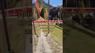 Ставь лайк и подписывайся на канал — тебя ждут интересные факты и новости с разных уголков планеты.