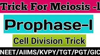 #Meiosis #Prophase1#cellCycle Cell Cycle and cell division class 11|Prophase1 stages of meiosis|NEET