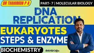 DNA Replication Biochemistry Malayalam  Eukaryotic DNA Replication Malayalam  Molecular Biology