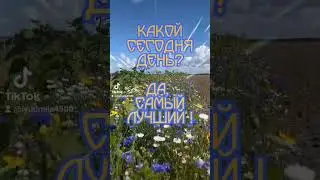 Доброе утро ! С Новым днём!Пусть удача будет в нём !🌹😊💛#доброеутро #пожелания #пожеланиедлядрузей
