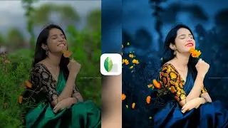 New Snapseed Dark Blue Effect Photo Editing Trick 👌 || Snapseed Background Colour Change Tricks