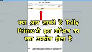 Set Default Accounting Allocation Option Use In Tally Prime