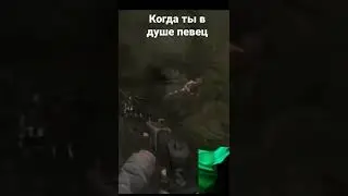 Стрим по Сталкер Anomaly