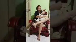 #HAPPYNEWYEAR EVERYONE #aspin #dog #fyp #viral 🦮🐶