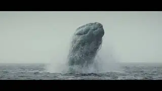 Large Scale Water Fx  - Flip simulation
