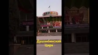 #Душанбинский Цирк