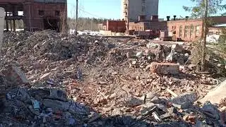 Терминатор севера
