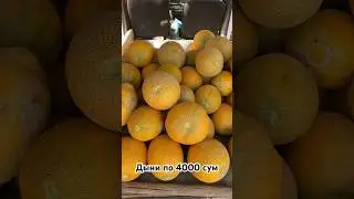 Шикарные вкусные дыни 