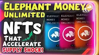 Elephant Money Unlimited - NFTs that Accelerate Everything