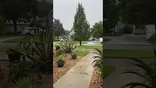 During Hurricane Ian in Ormond Beach Florida #hurricanelan #florida #shorts #short #hurricane #fl