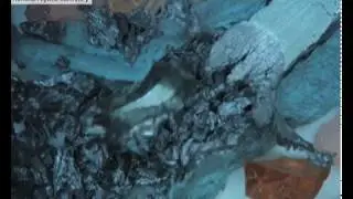 Metal-eating 