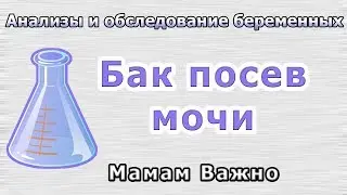 Как сдается бактериологический посев мочи?