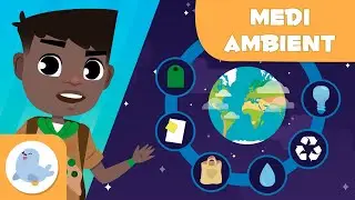 Com tenir cura del medi ambient? - 10 consells per tenir cura del medi ambient en català