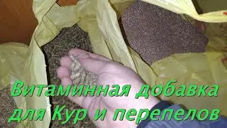 Витаминная добавка для Кур. Цвет Желтка. Жизнь на даче
