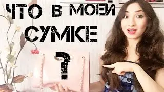 TAG: Что в моей СУМКЕ?| Nida