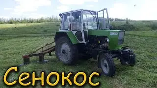 Заготовка СЕНА на новом Тракторе ЮМЗ-6 из косилкой виракс 1.65   2022г.
