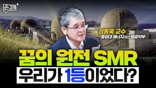 SMR 비싼 건 맞지만 확실한 쓸모가 있습니다 - 정동욱 교수 (중앙대 에너지시스템 공학부)