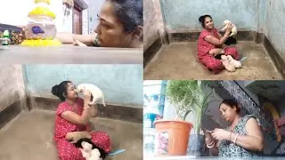 🌹এঁদের কে নিয়েই আমার দিন গুলো বেস কেটে যাচ্ছে  //Indian housewife daily morning routine #doglover