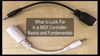 What to Look For in a MIDI Controller: Basics and Fundamentals