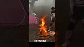#приколыи #юмор #подписка