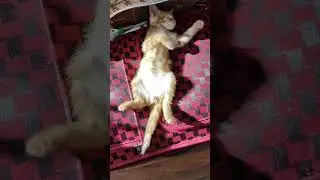 Кайфуюю
