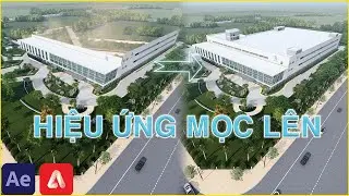 Hiệu ứng Intro lắp ghép tòa nhà - Adobe After Effects