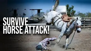 HOW TO SURVIVE A HORSE ATTACK | Tech and Science |