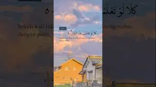 Surah At Takasur, Adeem banget dengernya.. #short #shorts #shortsvideo