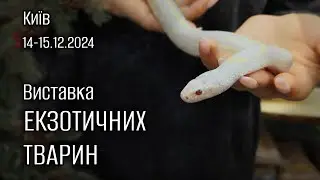 Exhibition and sale of exotic animals (14-15.12.2024 Kyiv) + announcement of the May exhibition