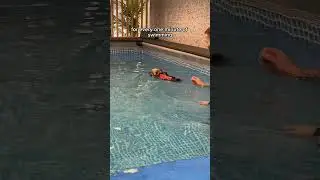 Has your dog tried swimming? #duckytheyorkie #yorkies #yorkshireterrier #yorkie #yorkiesoftiktok
